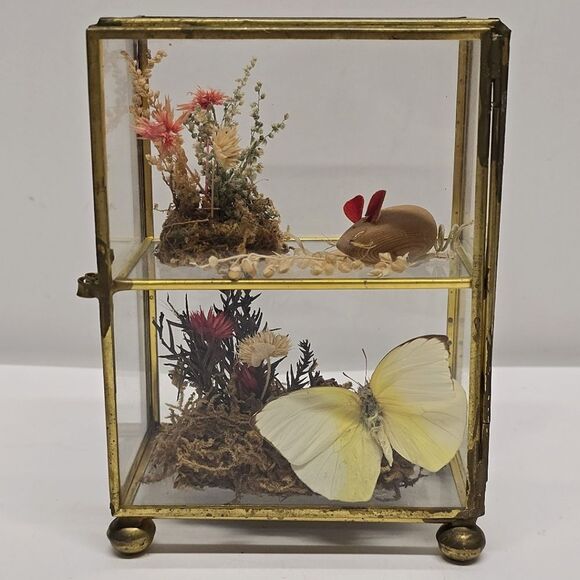 Vintage Taxidermy Butterfly Dried Flowers Terrarium Diorama Glass Display Case - Picture 8 of 8